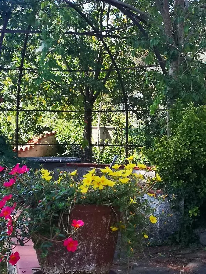 Villa Artemisia Borgo a Buggiano Italy