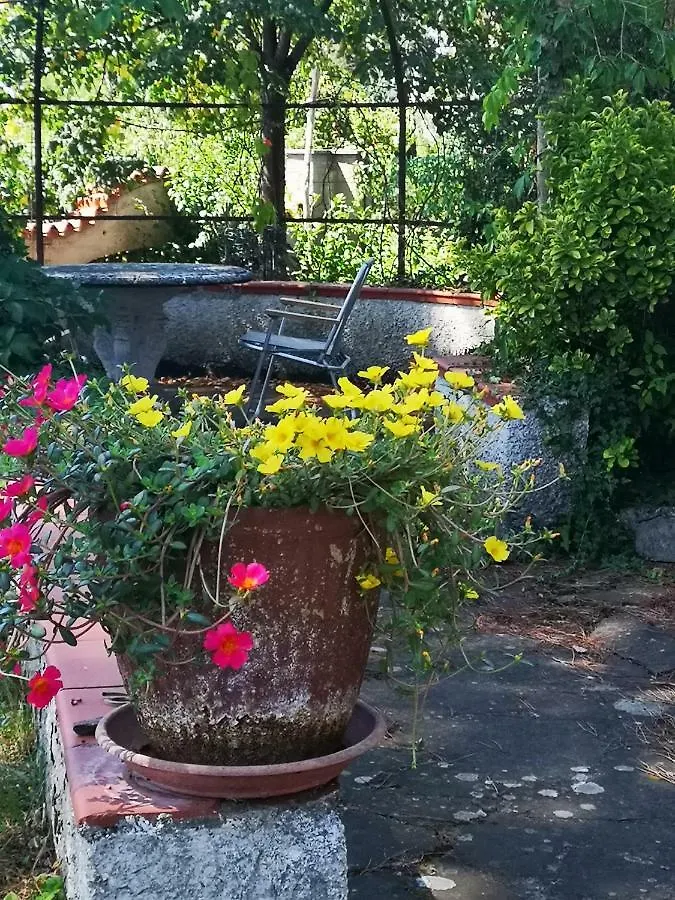 Villa Artemisia Borgo a Buggiano 0*,  Italy